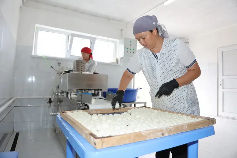 Более 2,5 тыс. человек работают в сфере переработки сельхозпродукции в Жамбылской области (10)