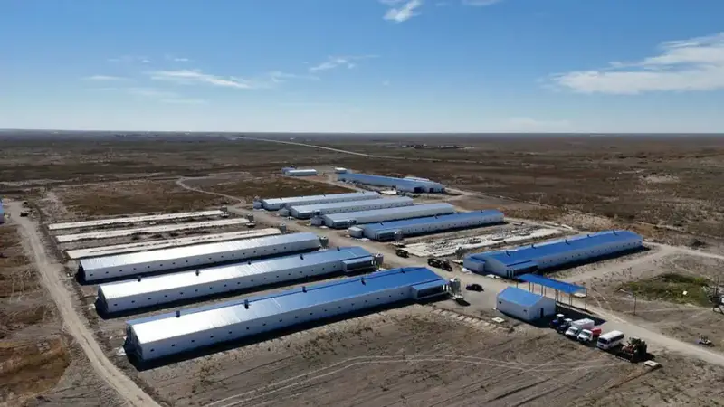 Птицефабрику мощностью 3,5 тыс. тонн в год запустят в Кызылординской области (2)