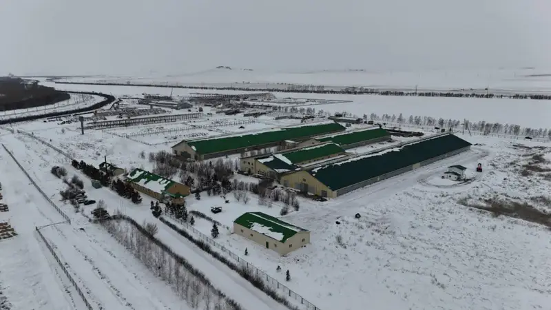 В Бурабайском районе ведется строительство крупной молочно-товарной фермы и завода по переработке молока (4)