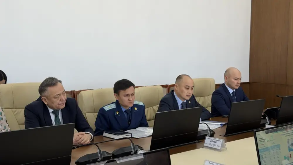 В Улытауской области обсудили привлечение инвестиций и развитие промышленности (5)