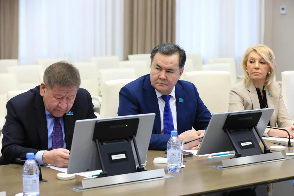 Аким региона обсудил с сенаторами развитие экономики и бюджетный потенциал (6)