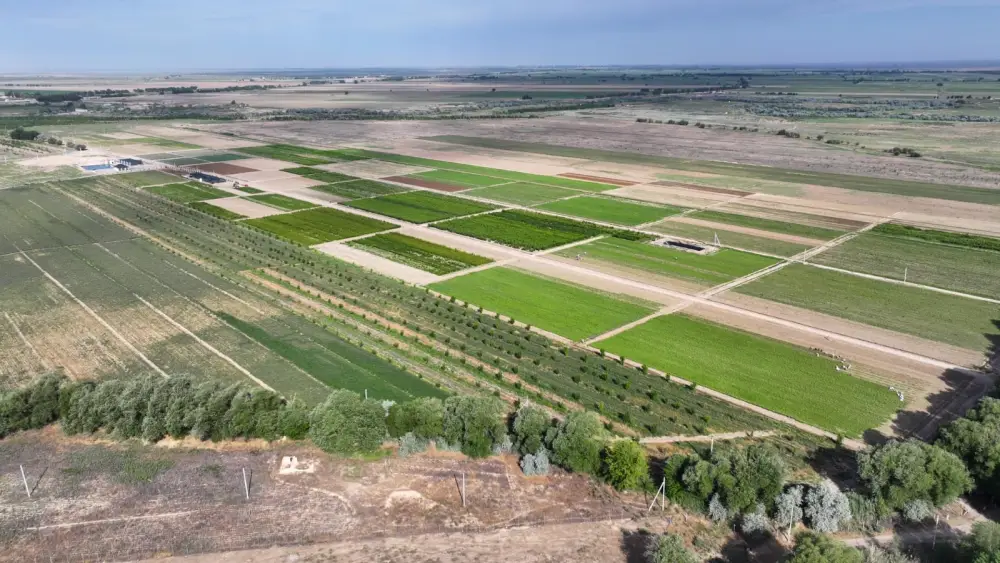 В ТУРКЕСТАНСКОЙ ОБЛАСТИ ДЕЙСТВУЮТ 5 ПРЕДПРИЯТИЙ ПО ПЕРЕРАБОТКЕ МУСОРА (5)