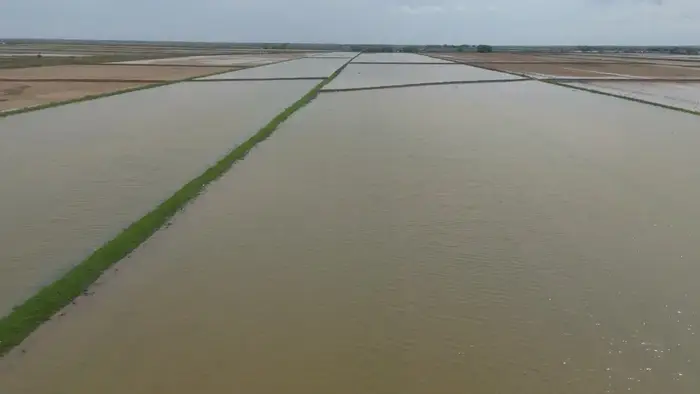 ??400 млн кубометров воды было подано для промывки почвы в Туркестанской области (2)