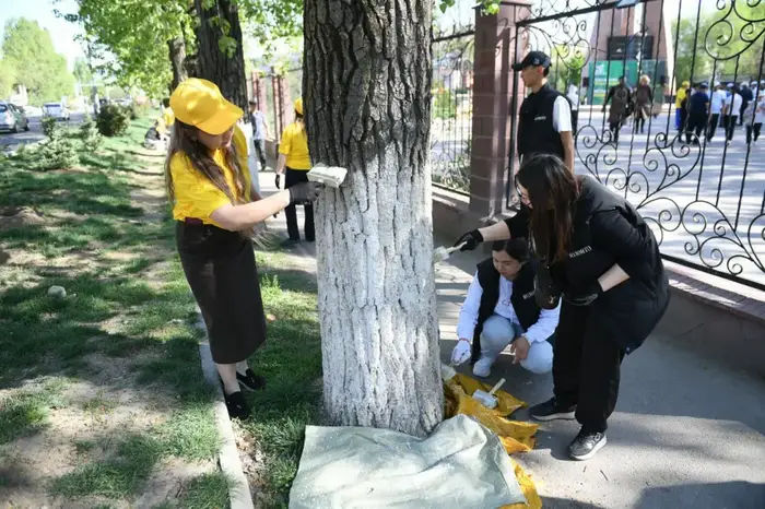 В Алматинской области продолжается акция «Таза Қазақстан» (4)