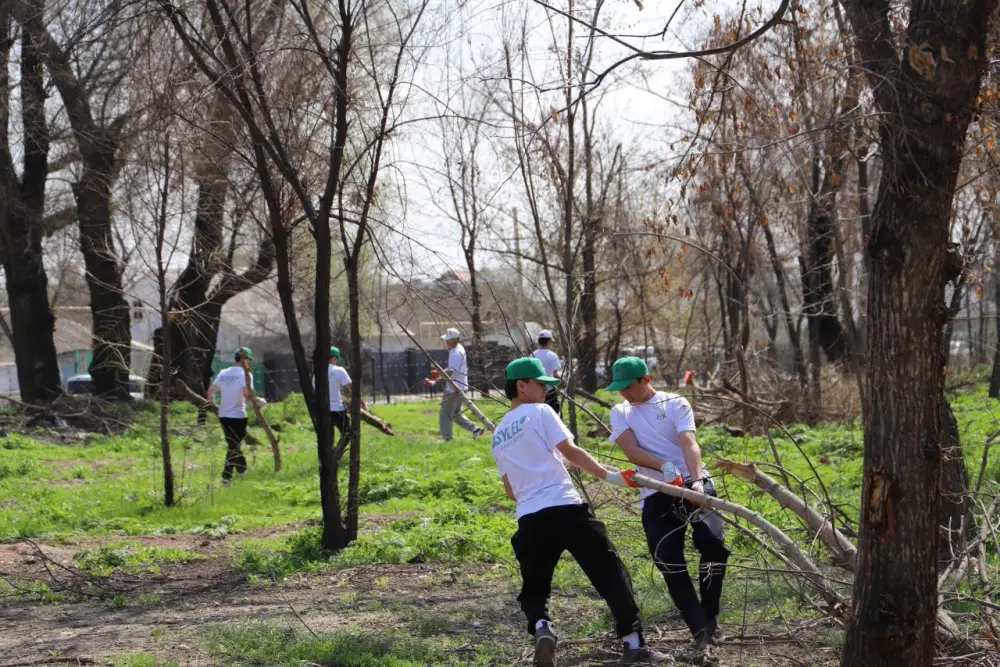 Молодежь активно приступила к новому сезону экологической акции «Таза Қазақстан» (5)