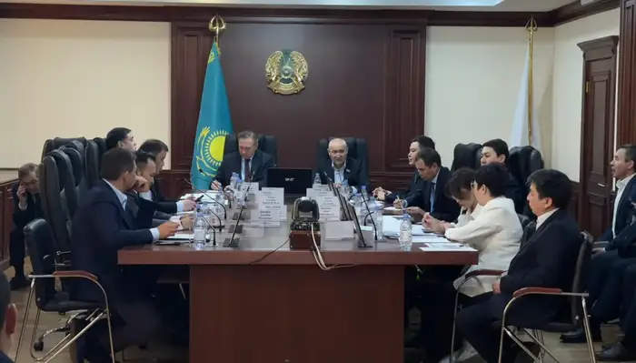 Поддержка казахстанских товаропроизводителей (5)