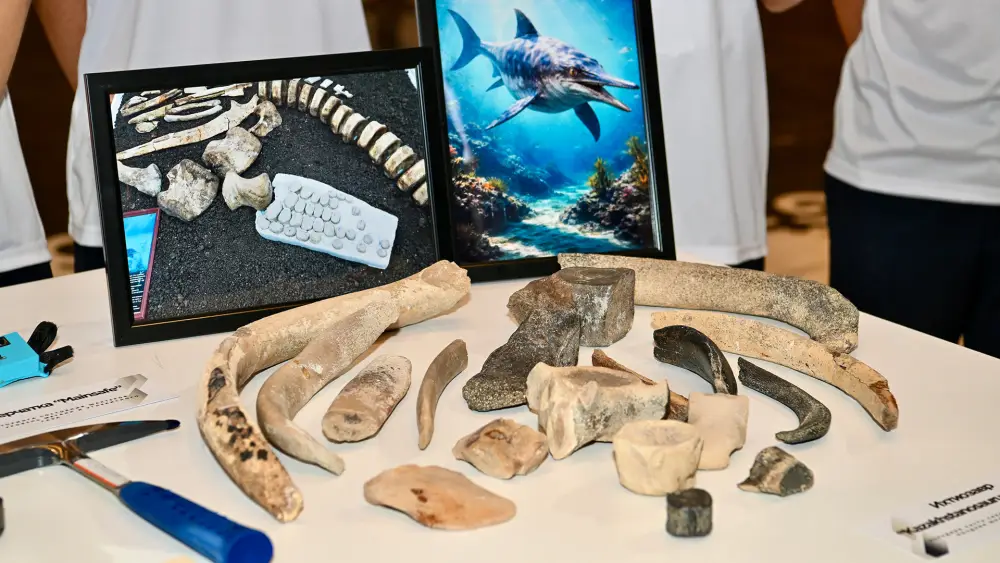 Олжас Бектенов: Казахстан усиливает геологоразведку и создает новую инфраструктуру для развития отрасли (8)