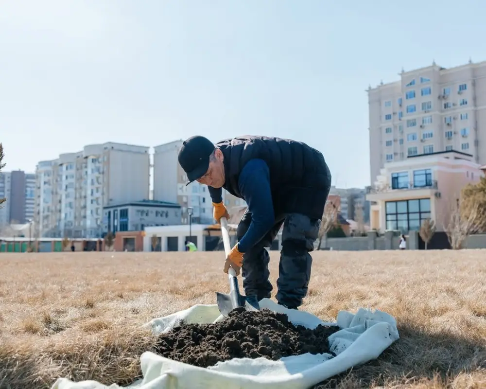 29 тысяч деревьев планируется высадить в этом году в Атырау ⠀ (4)