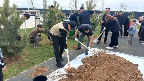 В ОБРАЗОВАТЕЛЬНОМ УЧРЕЖДЕНИИ, ПОСТРОЕННОМ В РАМКАХ ПРОЕКТА «ШКОЛЫ БУДУЩЕГО» В ТУРКЕСТАНЕ, РОДИТЕЛИ И УЧЕНИКИ ВЫСАДИЛИ САЖЕНЦЫ (2)