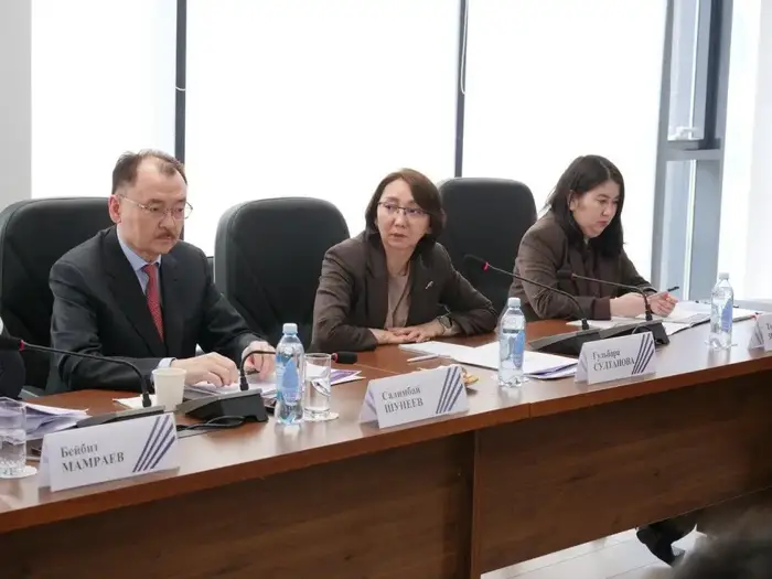 Стартовал цикл экспертных встреч по подготовке Национального доклада о деятельности общественных советов (3)