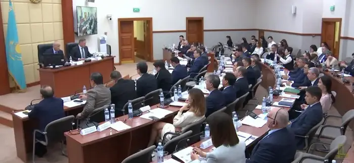 Развитие внутристрановой ценности обсудили в Мажилисе (6)