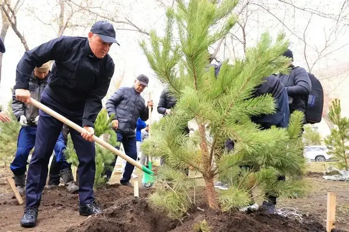 «Таза Қазақстан»: В Караганде за день посадили 400 деревьев (3)