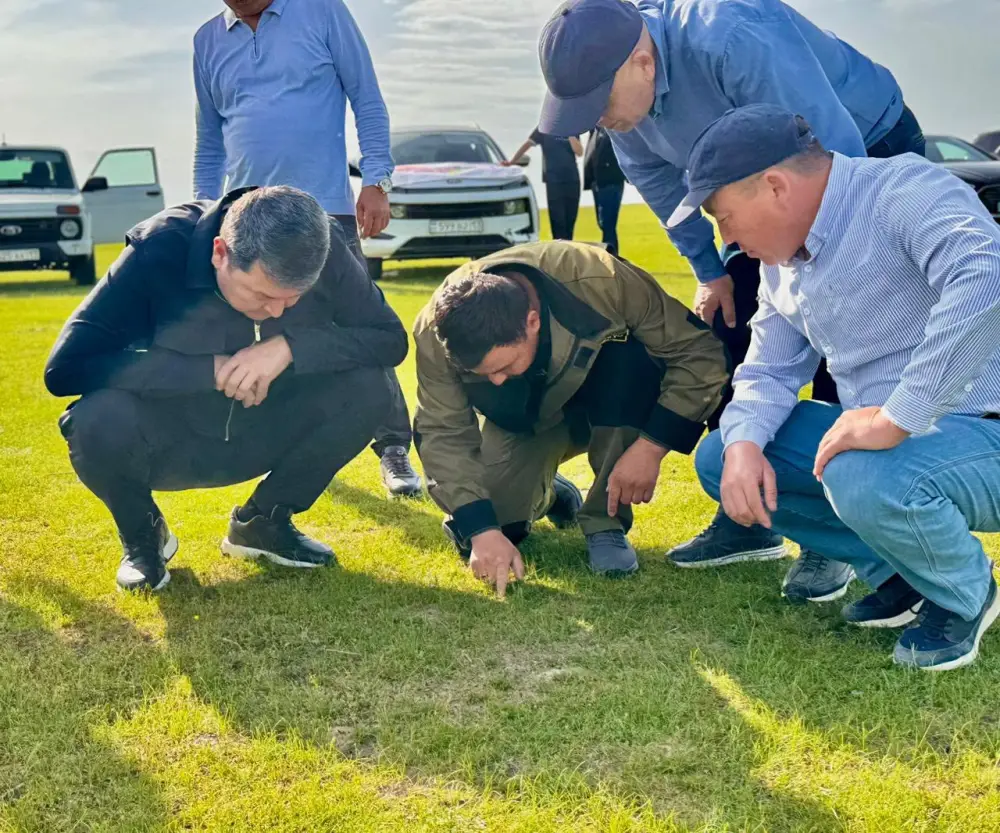 ТҮРКІСТАН: КЕЛЕСТЕ ШЕГІРТКЕ МЕН ЗИЯНКЕСТЕРМЕН КҮРЕС ЖӨНІНДЕГІ ШТАБ ОТЫРЫСЫ ӨТТІ (2)