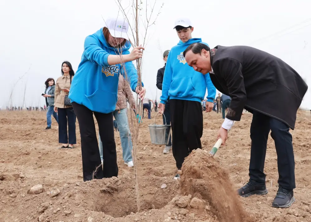 Таза Қазақстан: в Таразе высажено 10 тысяч деревьев (10)