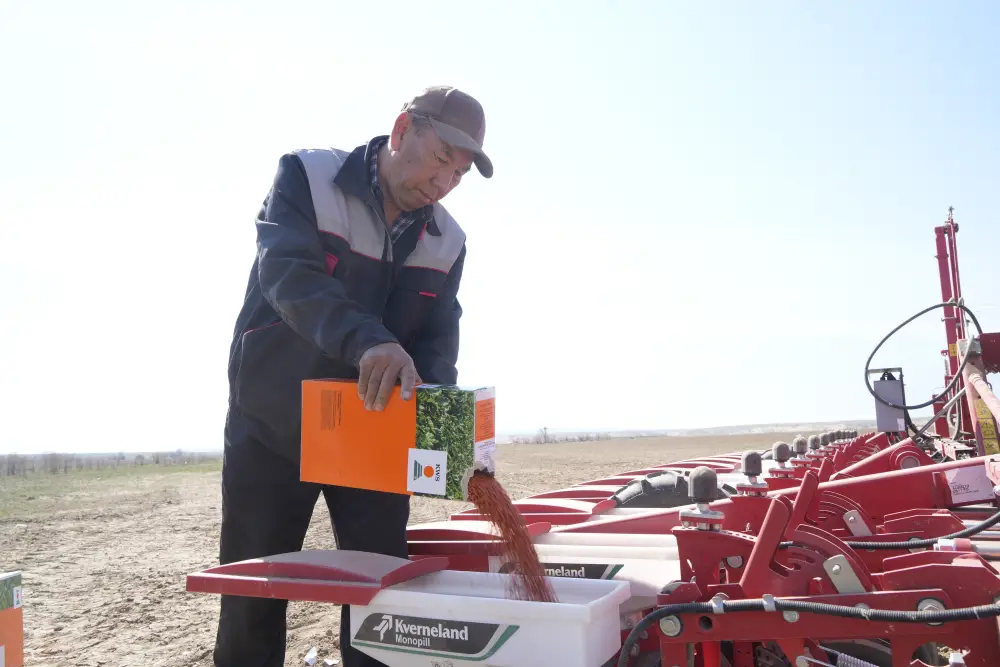 В Жетісу стартовал сев сахарной свёклы на 13 тыс. гектаров (3)