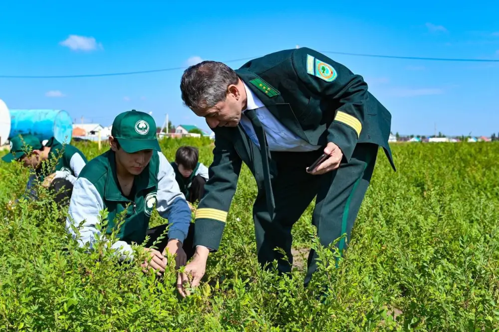 В трудовой отряд «Жасыл ел» в этом году планируется трудоустроить порядка 3 200 человек (6)