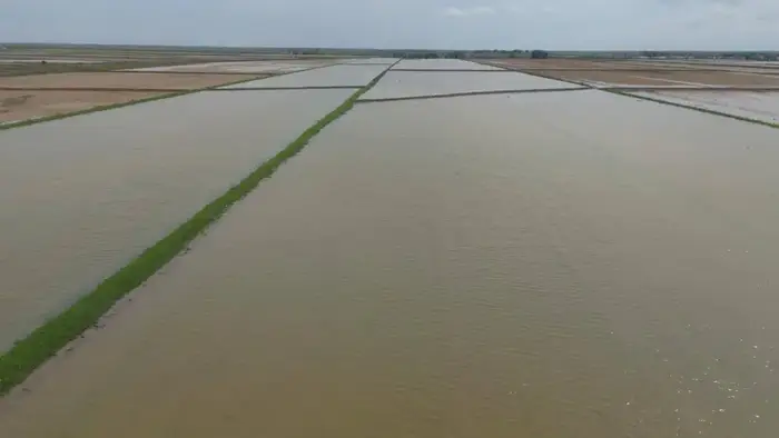 400 млн кубометров воды было подано для промывки почвы в Туркестанской области (2)