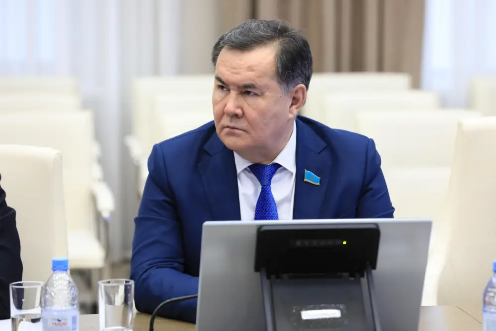 Аким региона обсудил с сенаторами развитие экономики и бюджетный потенциал (4)