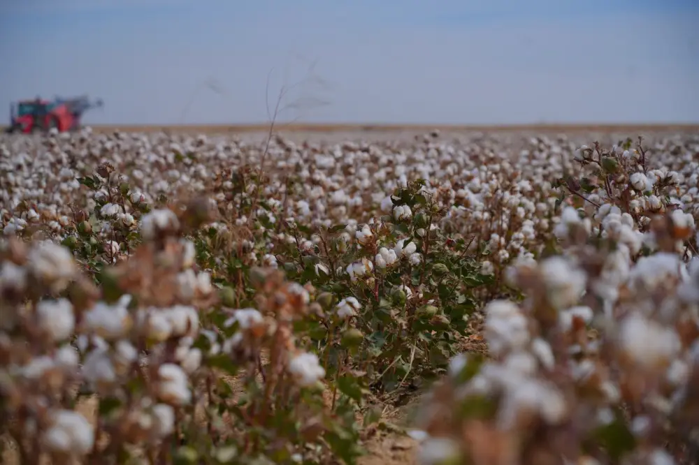 В ТУРКЕСТАНСКОЙ ОБЛАСТИ В РАМКАХ ПРОГРАММЫ «АУЫЛ АМАНАТЫ» СОЗДАНО ОКОЛО 5 ТЫСЯЧ НОВЫХ РАБОЧИХ МЕСТ (4)