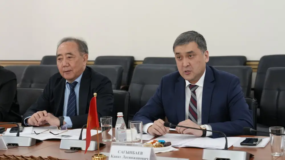 Казахстан и Кыргызстан укрепляют сотрудничество в социально-трудовой сфере и обмениваются цифровым опытом (4)