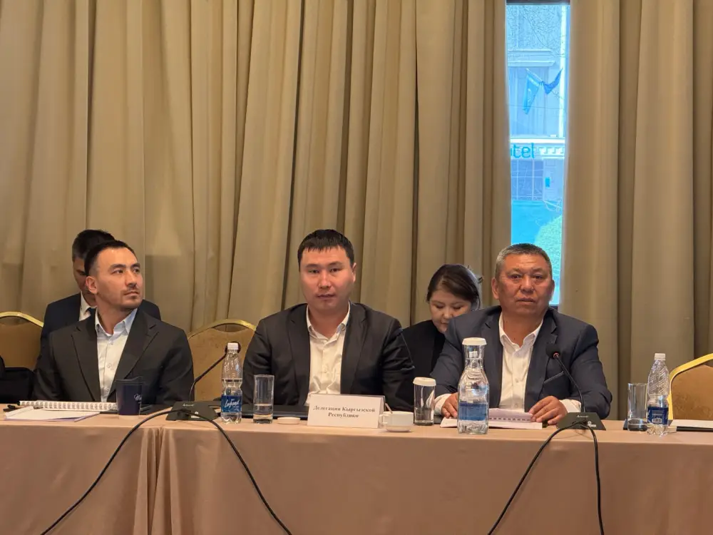 В Бишкеке прошёл первый раунд переговоров по строительству Камбаратинской ГЭС-1 с участием Казахстана, Кыргызстана и Узбекистана (3)