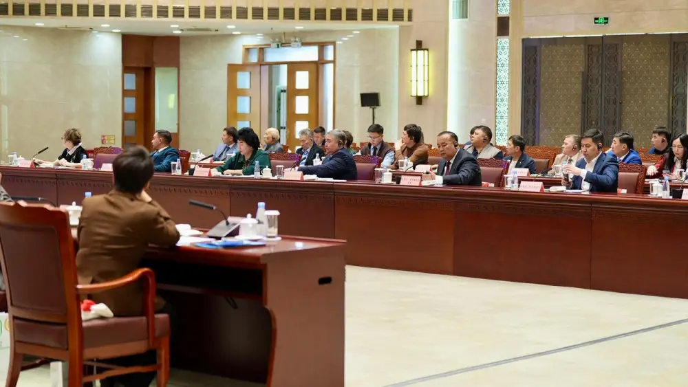 Сотрудничество между Восточным Казахстаном и Китаем будет укрепляться (6)