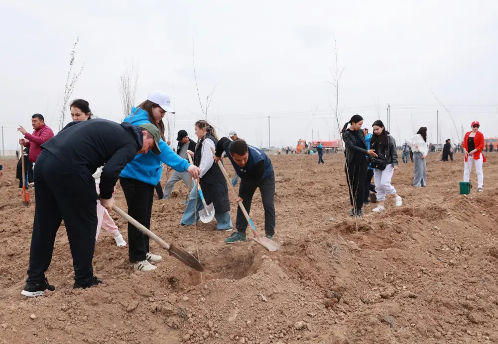 Таза Қазақстан: в Таразе высажено 10 тысяч деревьев (3)