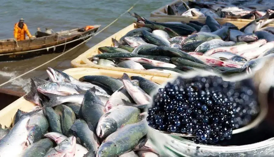 В ТУРКЕСТАНСКОЙ ОБЛАСТИ В РАМКАХ ПРОГРАММЫ «АУЫЛ АМАНАТЫ» СОЗДАНО ОКОЛО 5 ТЫСЯЧ НОВЫХ РАБОЧИХ МЕСТ (6)