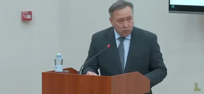 Развитие внутристрановой ценности обсудили в Мажилисе (4)