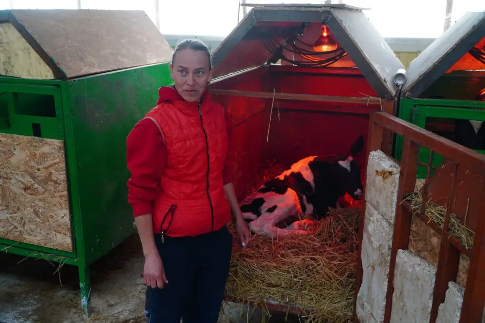 В Акмолинской области запустили современную молочную ферму на 400 голов (8)