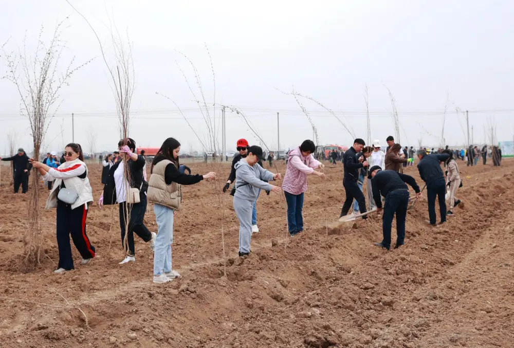 Таза Қазақстан: в Таразе высажено 10 тысяч деревьев (7)