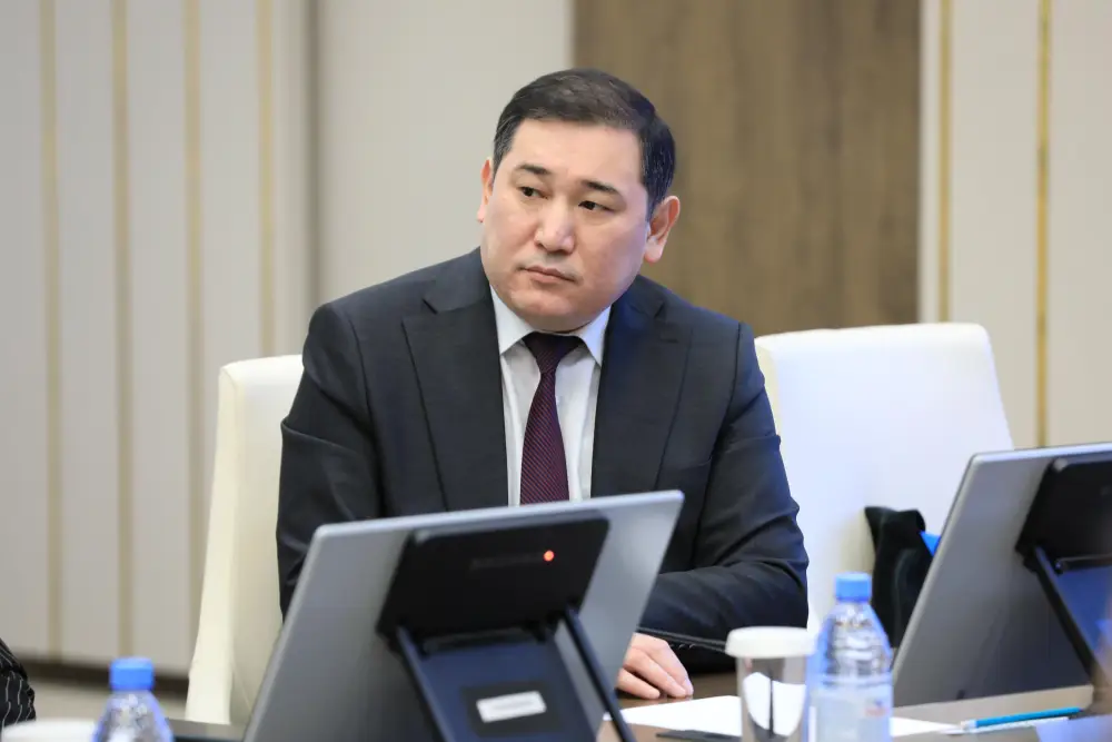 Аким региона обсудил с сенаторами развитие экономики и бюджетный потенциал (2)