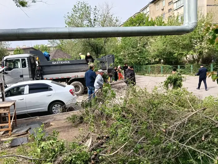 В ШЫМКЕНТЕ ПРОШЛА АКЦИЯ «ТАЗА АУЛА»: УЧАСТИЕ ПРИНЯЛИ БОЛЕЕ 55 ТЫСЯЧ ЧЕЛОВЕК (3)