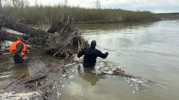 водолазы
