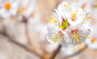 Казахстанцы готовятся к длинным майским праздникам: почти две недели отдыха!