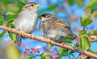 Прогноз погоды в Астане и Алматы на 10, 11 и 12 апреля: когда потеплеет по данным синоптиков Казгидромета