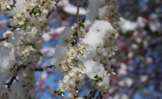 Казахстан готовится к морозам: температура опустится до -5 градусов