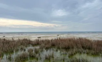 Участившиеся землетрясения в Каспийском море: что ожидать и как это повлияет на регион