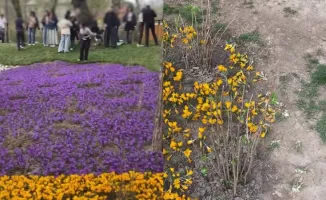 Крокусы на Терренкуре: ради селфи — в траву!