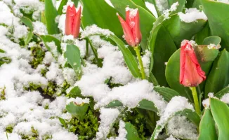 Снег и морозы до -8°C ожидаются в Казахстане: прогноз погоды на 14-16 апреля от синоптиков Казгидромета