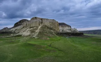 Степь Мангистау зазеленела: жители региона делятся впечатляющими кадрами преобразившегося ландшафта после дождей