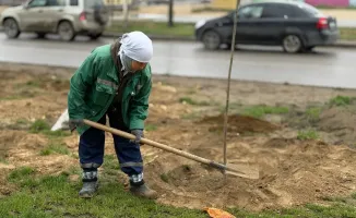 Сегодня, 1 апреля, в Актау в рамках весенней кампании по озеленению в 26 микрорайоне высадили 49 саженцев лиственных деревьев, включая ясень, сообщает Lada.kz.