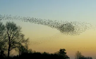 Синоптики Казгидромета прогнозируют похолодание в Астане и Алматы: ожидаются низкие температуры 3, 4 и 5 апреля.