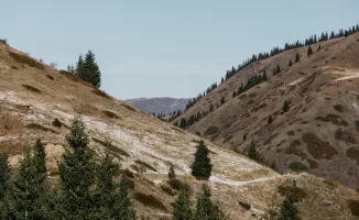 Возврат земли на 17 миллиардов тенге в Алматы: шаг к улучшению городской инфраструктуры и социальной справедливости