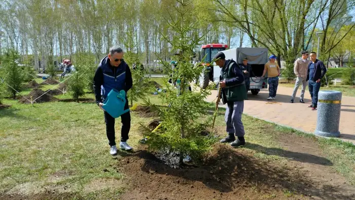 Около 300 деревьев высадили столичные жители в парке «Ататюрк» (9)