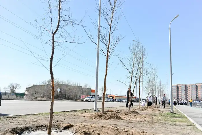 Аким области принял участие в акции по посадке деревьев в Семее (9)