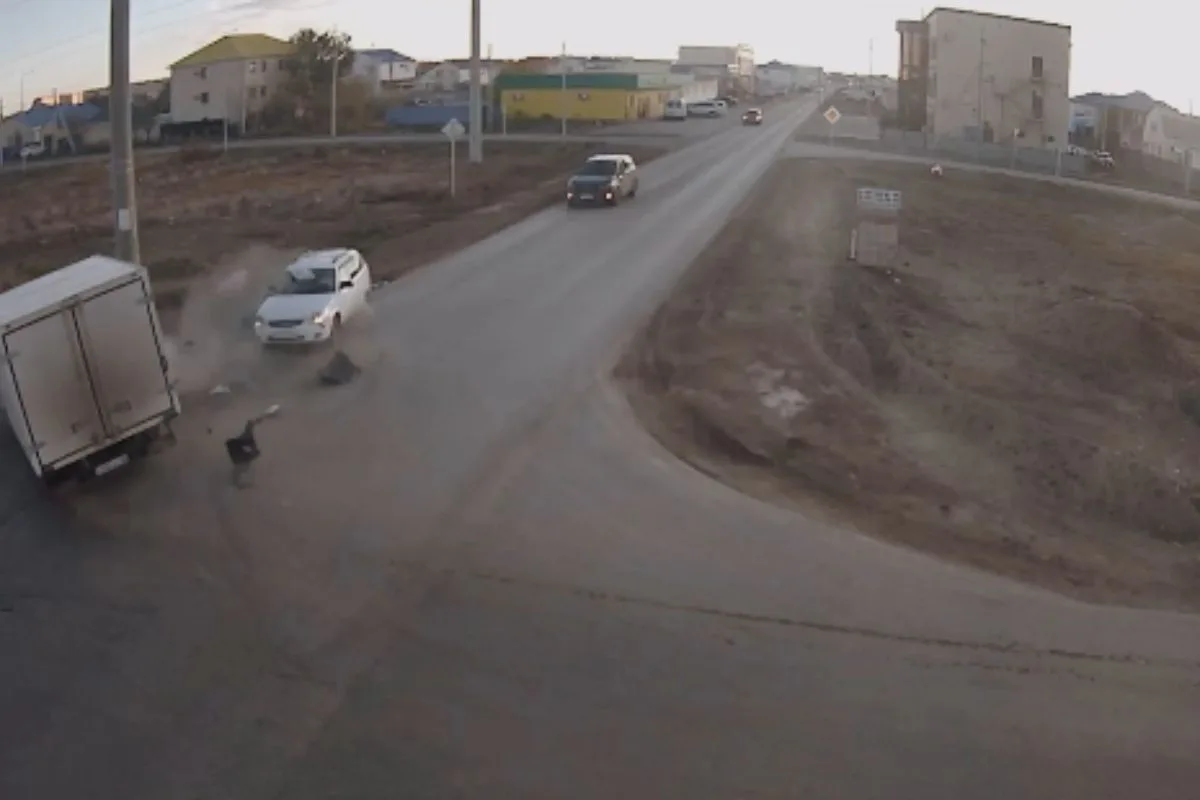 стоп-кадр с видео стоп-кадр с видео