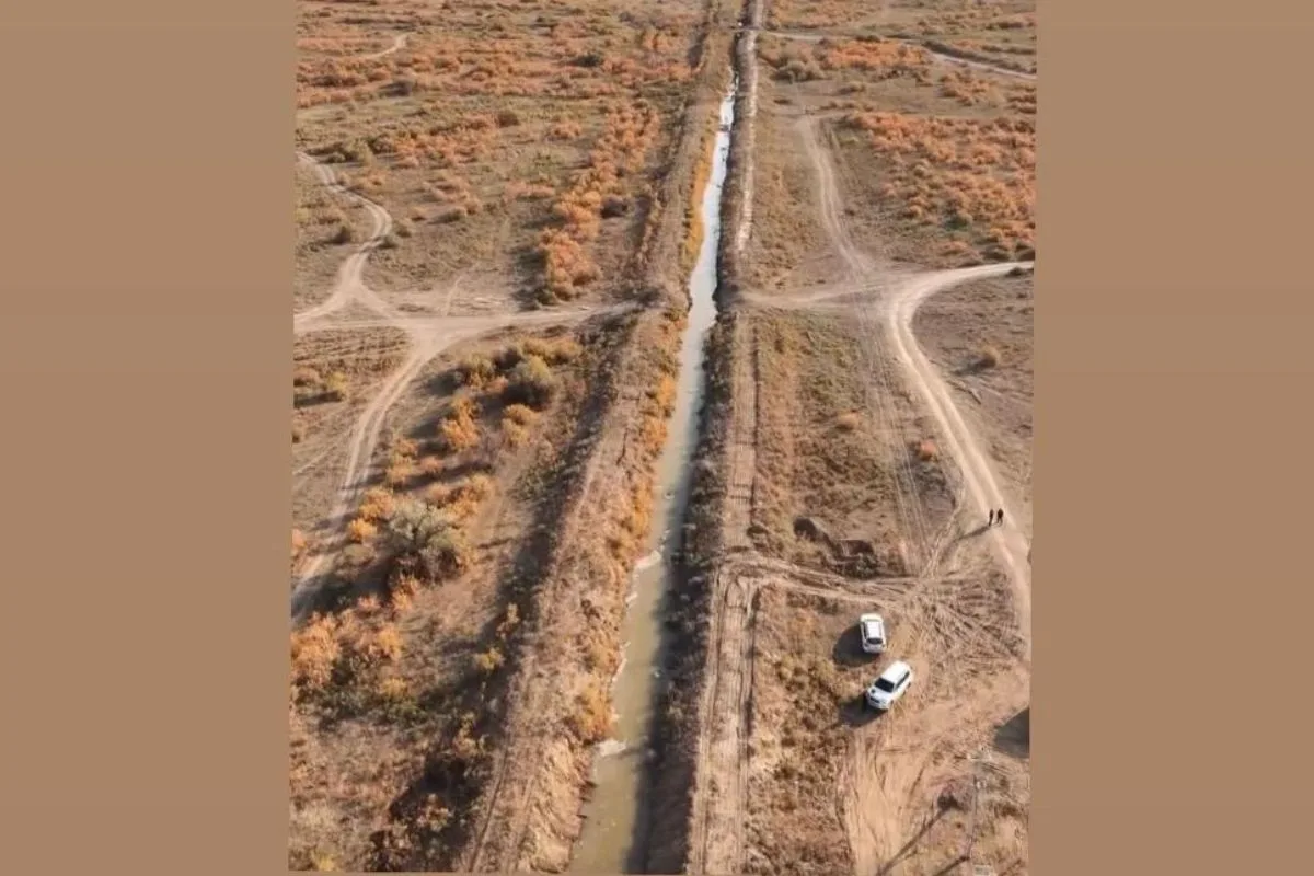 стоп-кадр с видео стоп-кадр с видео